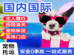 琼海机场货运国际宠物托运 【国